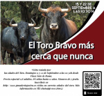 CARTEL-ACTIVIDAD-GAVIRA.jpg